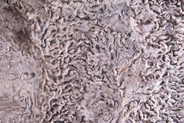 Closeup karakul fur texture to background