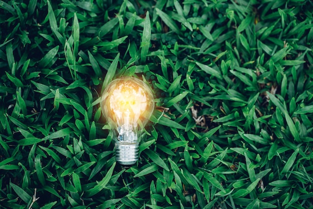 Closeup light bulb on green nature background