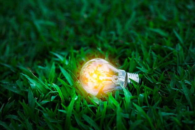 Closeup light bulb on green nature background