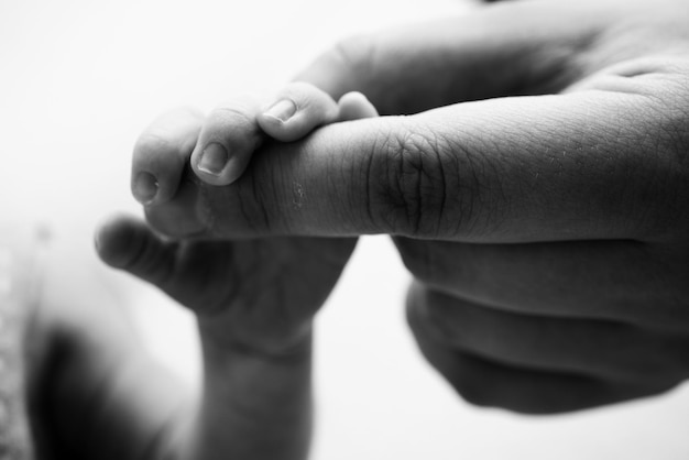 Closeup little hand of child and palm of mother and father The newborn baby has a firm grip on the parent39s finger after birth A newborn holds on to mom39s dad39s finger Black and white photo