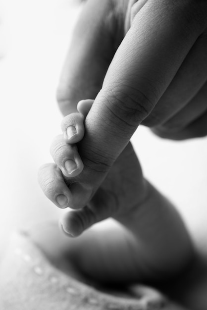 Closeup little hand of child and palm of mother and father The newborn baby has a firm grip on the parent39s finger after birth A newborn holds on to mom39s dad39s finger Black and white photo