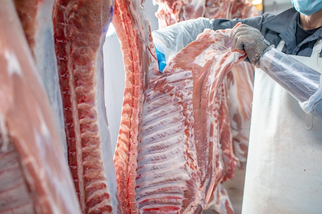 closeup of meat processing in the food industry the worker cuts raw pig storage in refrigerator