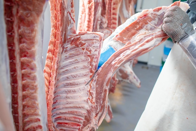 closeup of meat processing in the food industry the worker cuts raw pig storage in refrigerator