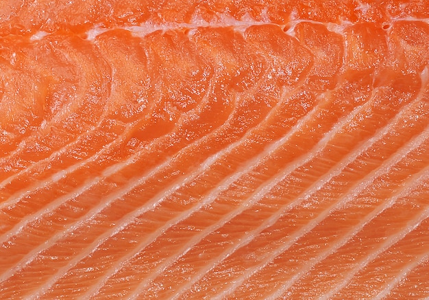 Closeup of meat of salmon