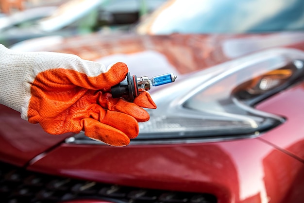 Closeup of a mechanic in rubber gloves holding a halogen lamp in his hand A halogen bulb in a man's hand A professional worker is changing the new halogen lamps of a car