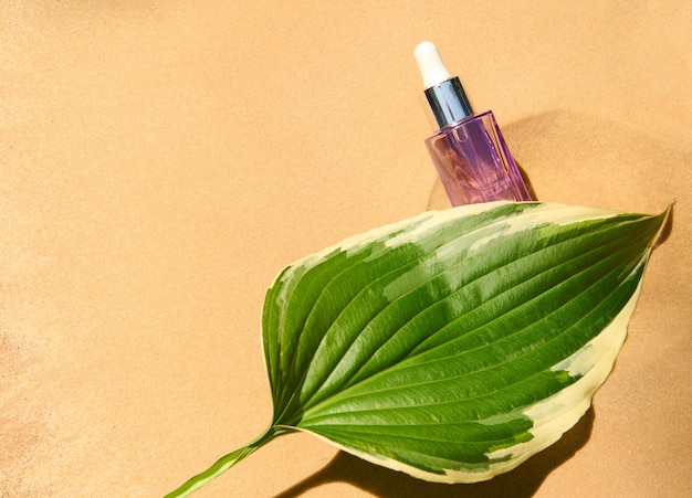 Closeup Minimalist still life Green leaf of a lily of the valley flower purple jar with serum on a sandy background