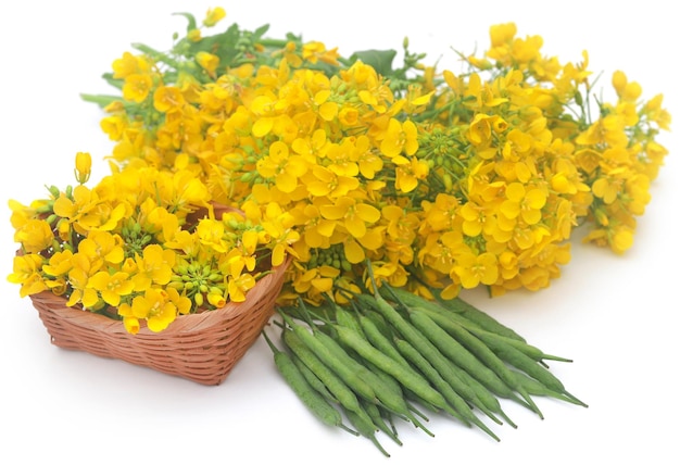 Closeup of mustard flowers