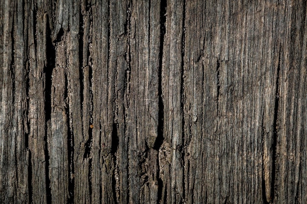 Closeup of a old rustic wood plank