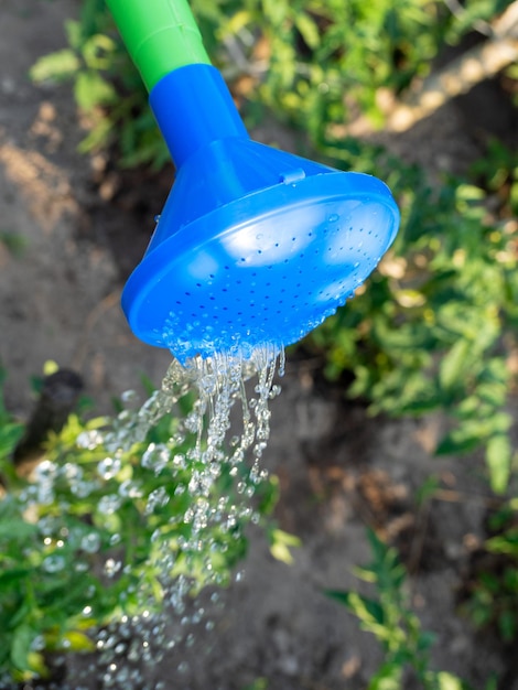 Closeup of a part of a plastic watering can for watering plants