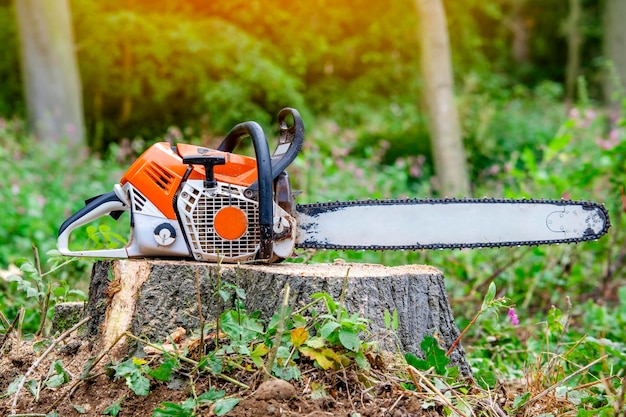 Closeup of petrolpowered chain saw left by arborist on top of tree stump