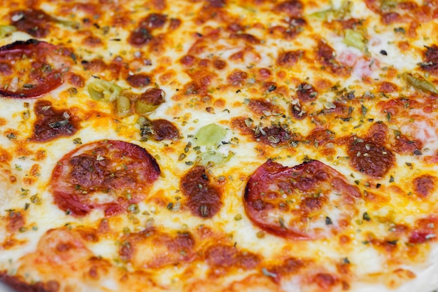 Closeup of pizza topped with salami cheese and oregano