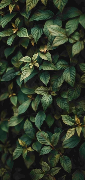 CloseUp of a Plant With Green Leaves