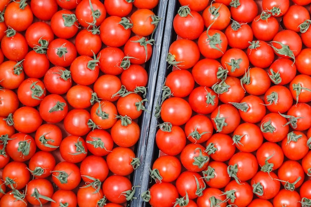 Closeup plenty red fresh ripe cherry tomatoes together with stems are awaiting distribution in box on farmers market.