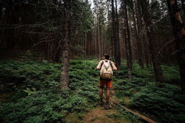 Closeup portrait of young hiker hiking looking up at trees Mountain trip view from the back Tatra Mountains Poland