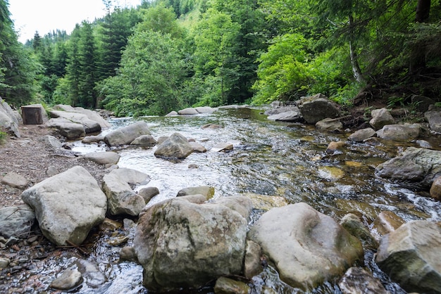 Closeup of a river with big stones in the mountains Carpathian mountains and rivers water among the forest and rocky shore summer sunny day