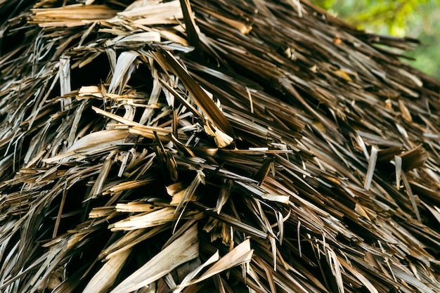 Closeup of roof made of dry palm leaves