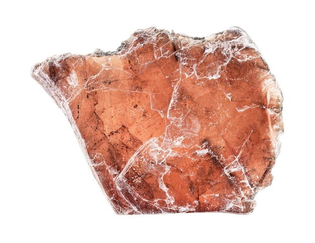 Closeup of sample of natural mineral from geological collection brown muscovite mica isolated on white background