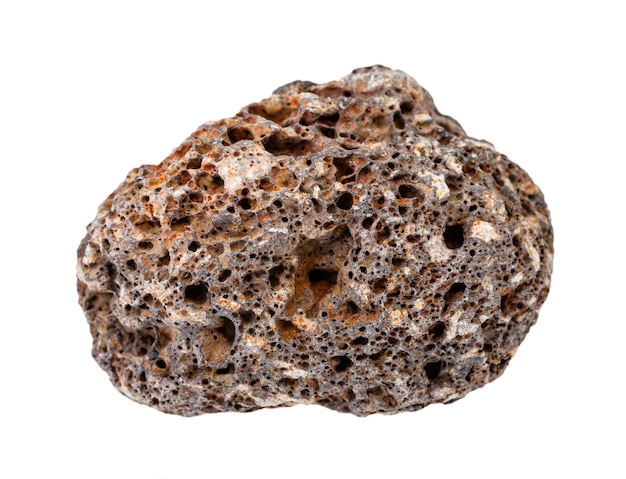 closeup of sample of natural mineral from geological collection rolled brown Pumice rock isolated on white background