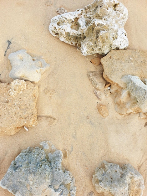 closeup of sand and coral background