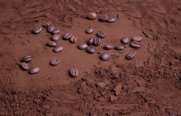 Closeup of scattered coffee beans on ground roasted coffee Food background