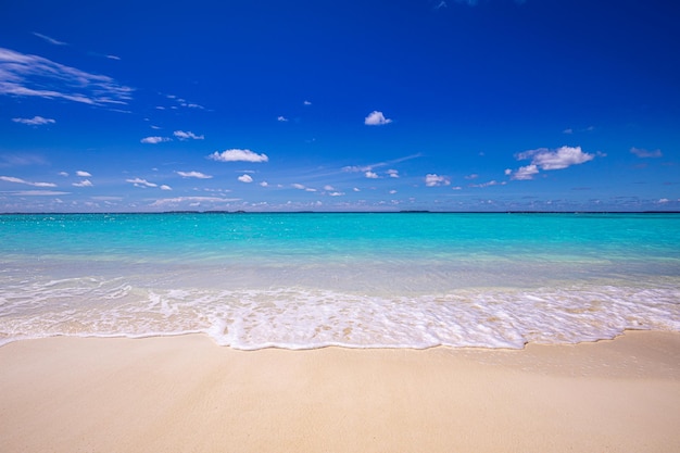 Closeup sea sand beach. Sky calmness tranquil relaxing sunlight summer mood. Vacation travel holiday