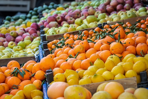 Closeup of a shop window with selected fresh fruits apples oranges coconuts pineapples for a healthy lifestyle