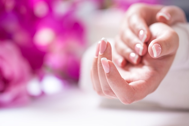 Closeup shot of beautiful female dands with nails of france manicure. Manicure and spa concept.