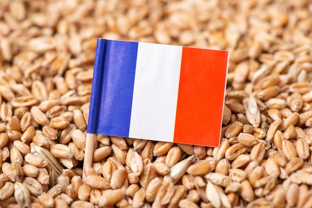 Closeup shot of flag of France on wheat grains