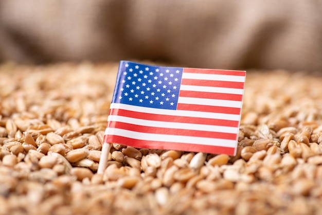 Closeup shot of flag of USA on wheat