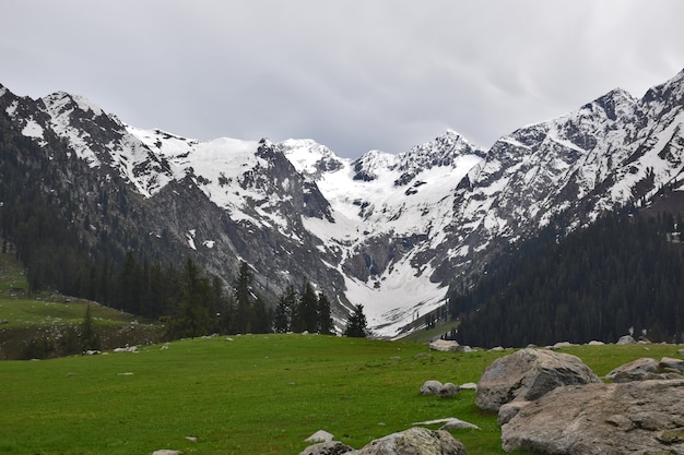 Closeup shot of a green lawn and stones and mountains in the background