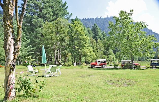 Closeup shot of a resort complex in forests area with blue sky