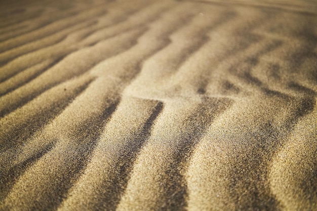 Closeup shot of sand dunes on a desert on Gran Canaria island