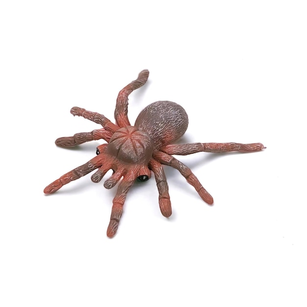 Closeup shot of tarantula spider miniature toy animal on white background