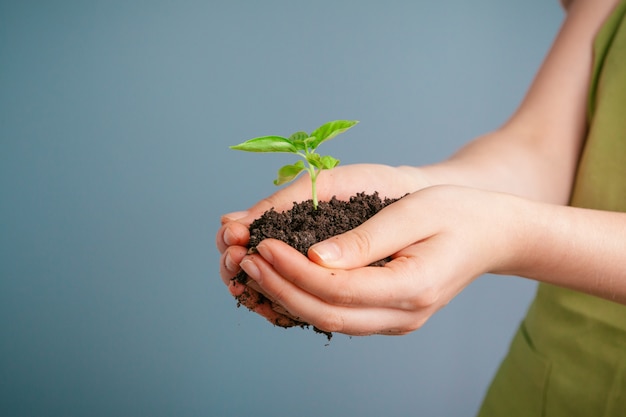 Closeup shot of a woman holding a green plant in palm of her hand. Close up