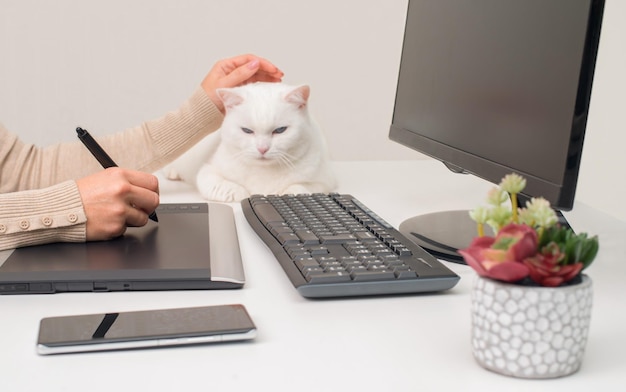 Closeup shot of woman working on a graphics tablet at her home office with cat on the table