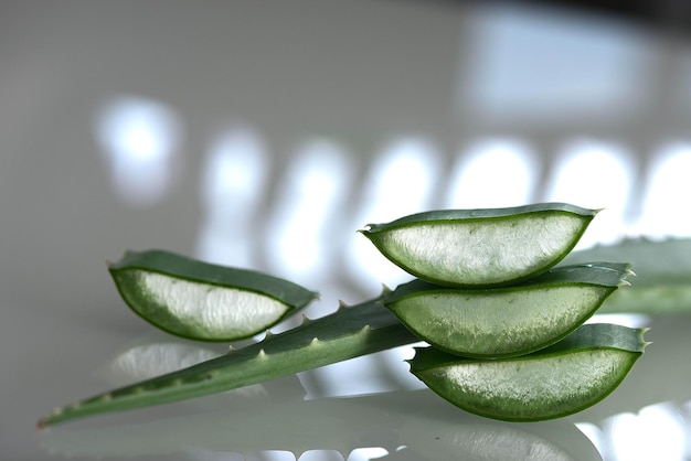 Closeup of sliced aloe vera plants on a white table with sunlight from window reflecting in it