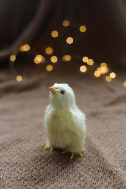 Closeup of a small yellow chicken Easter card with a copy space Spring Easter decor Wallpaper or Banner