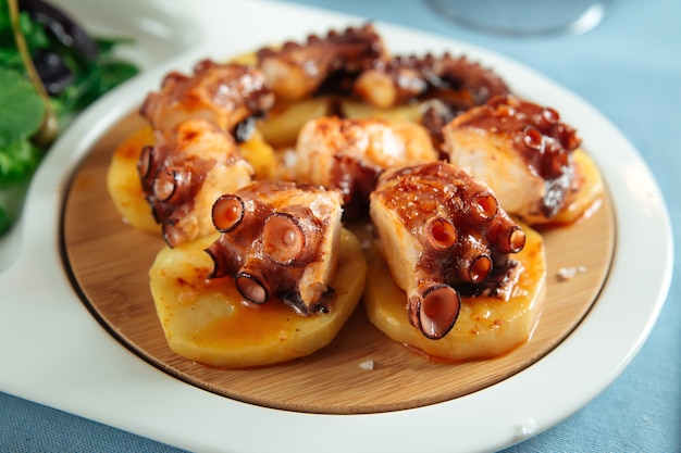 Closeup on spanish national dish octopus in galician