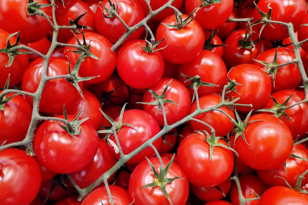 Closeup on a stack of yellow cherry tomatoes for sale on a market stall