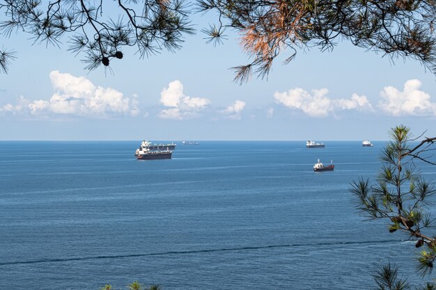 Closeup of the summer landscape Blue sea clouds over the horizon and cargo ships