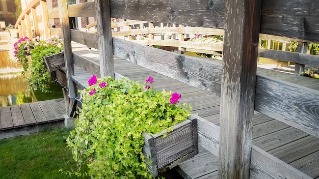 Closeup toned image of beautiful flowers growing in pots on old wooden bridge over water canal in european town