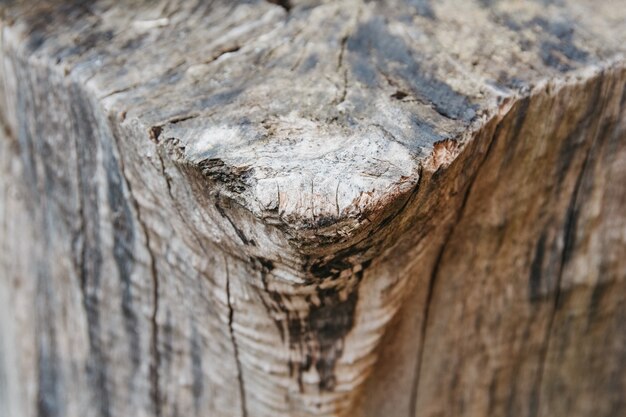 Photo a closeup top view shot of a an old tree stump. lines and patterns visible.