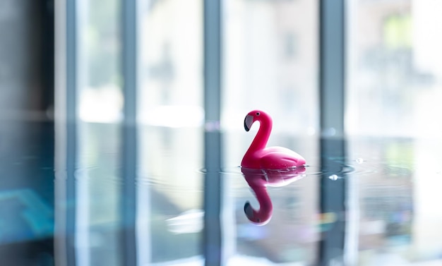 Closeup toy flamingo in the pool on a blurred background