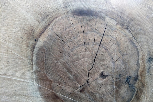 Closeup of a tree cut Wood texture Preparation of firewood for the heating season