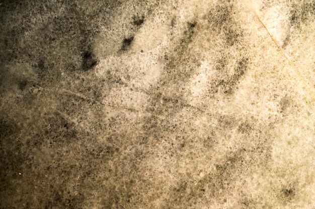 Closeup view of a marble floor