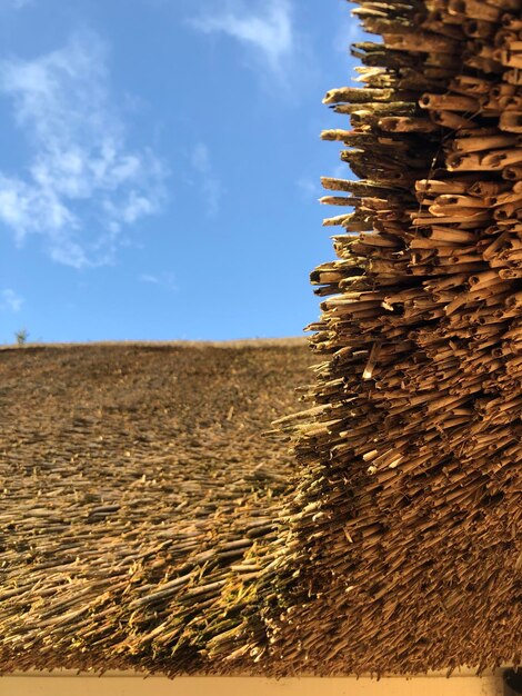 Photo closeup view of reed roof