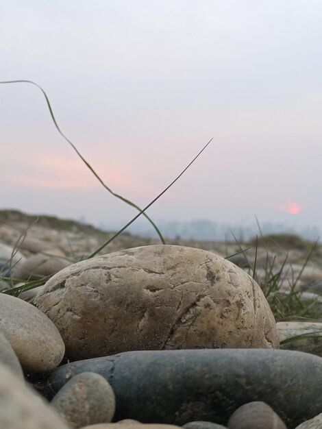 closeup view of stones and blur background