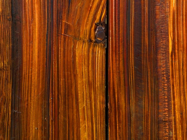 Photo closeup view of textured wooden surface with rich grain patterns