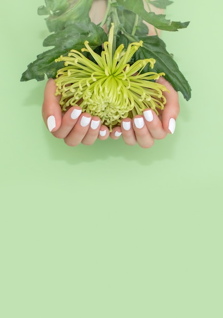 Closeup view of woman with flower on green background. Spa treatment