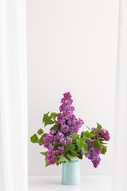 Closeup of a violet purple lilac flowers in the spring